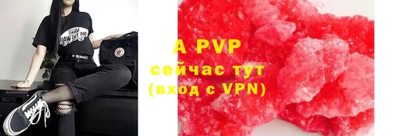 мдпв Весьегонск