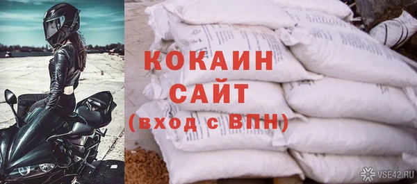крисы Алзамай
